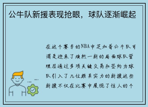 公牛队新援表现抢眼，球队逐渐崛起